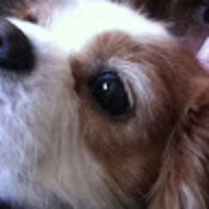 Meet your Posher, Shari